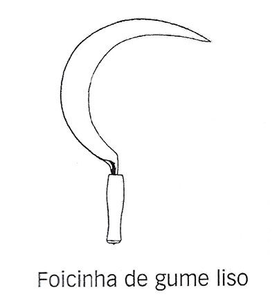 foicinha2