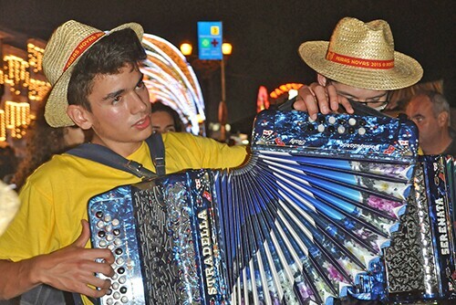 concertina_ponte_de_lima